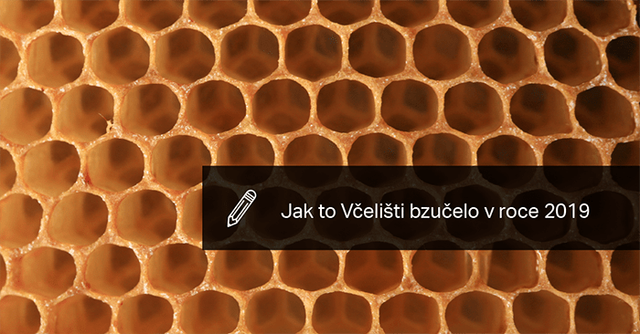 Včeliště v roce 2019.