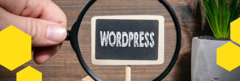 Jak si rozjet úspěšný web na WordPressu a nezapomenout na to podstatné